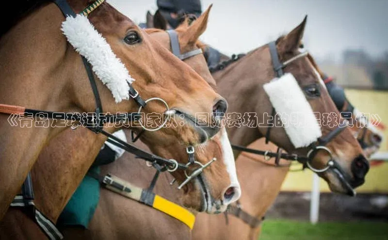 人人体育手机版汉得信息《青岛足球运动员国家队：国际赛场上的明星球员们》
