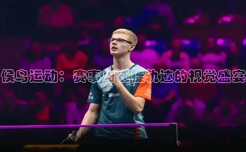 候鸟运动：赛事与迁徙轨迹的视觉盛宴