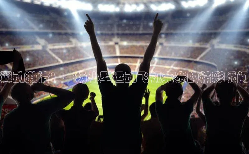 翼动激情：一场小型运动飞机竞赛的精彩瞬间