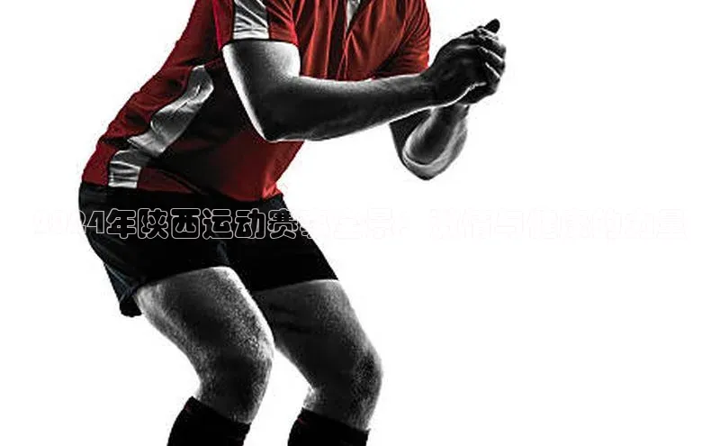 2024年陕西运动赛事全景：激情与健康的力量