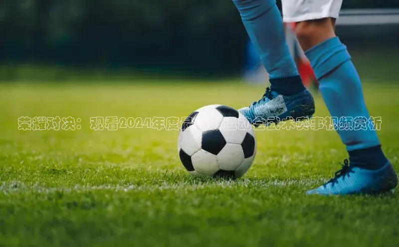 荣耀对决：观看2024年度最精彩运动会武术赛事视频赏析