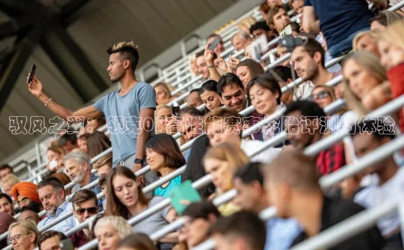 驭风之翼：领克03高性能赛事轮胎评测与体验