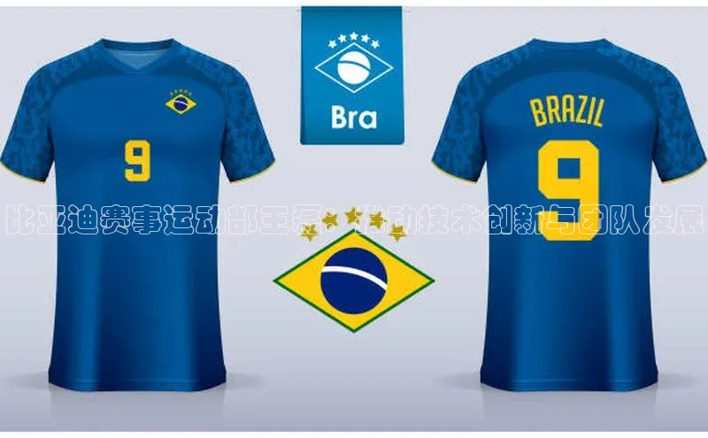 比亚迪赛事运动部王磊：推动技术创新与团队发展