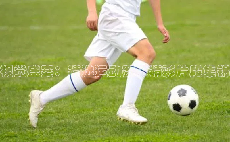 人人看球app下载