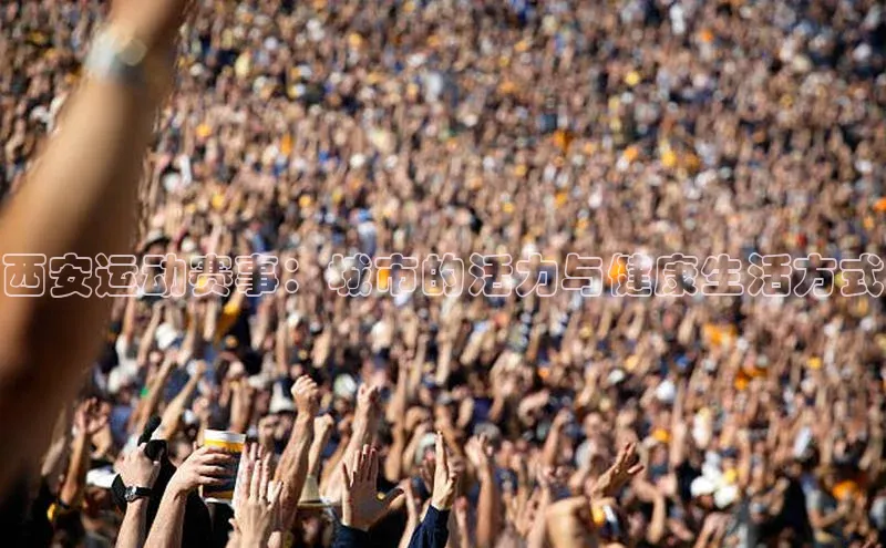 人人看球app下载