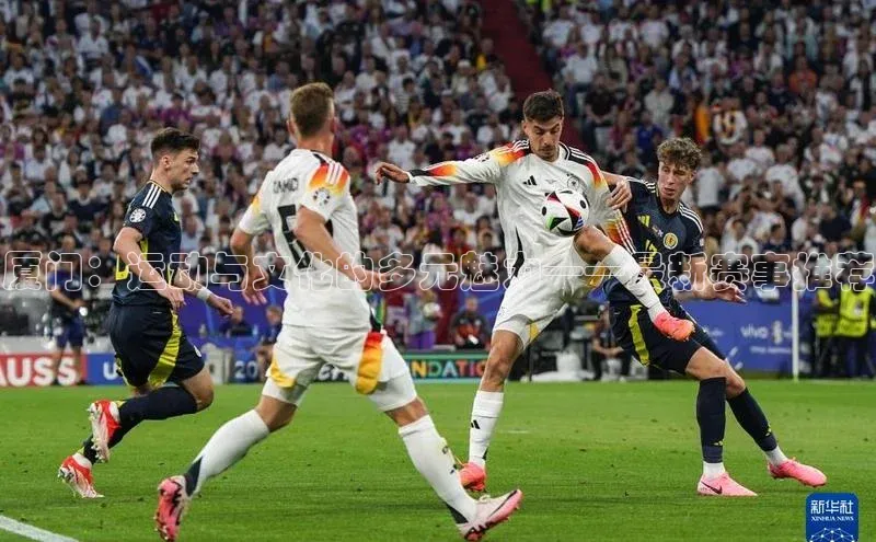 人人体育直播篮球